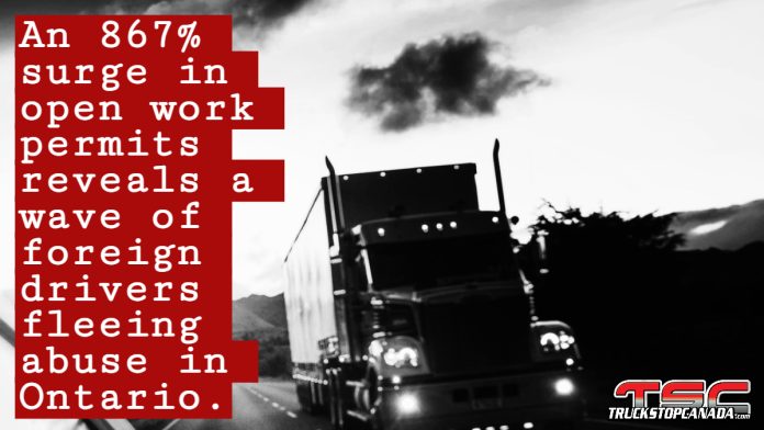 A long-haul truck on a Canadian highway, symbolizing the growing reliance on foreign labour in the trucking industry.