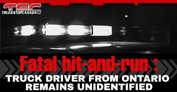 Black-and-white image of a police car with flashing emergency lights, overlaid with bold red and white headline text: “Fatal crash - hit-and-run: Truck driver from Ontario remains unidentified,” published by TruckStopCanada.com.