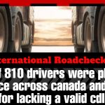 Close-up view of two semi-trucks parked side by side with sunlight shining between them. Text overlay reads: “2025 International Roadcheck Results – A total of 810 drivers were placed out of service across Canada and the U.S. for lacking a valid CDL,” with the TruckStopCanada.com logo at the top.