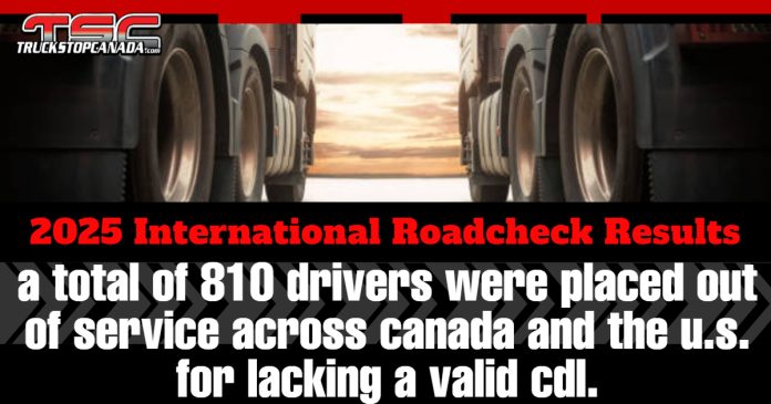 Close-up view of two semi-trucks parked side by side with sunlight shining between them. Text overlay reads: “2025 International Roadcheck Results – A total of 810 drivers were placed out of service across Canada and the U.S. for lacking a valid CDL,” with the TruckStopCanada.com logo at the top.