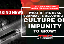 Driver Inc., illegal truck yards, shootings and organized crime: Caledon sounds the alarm for all of Canada Breaking News graphic showing a semi-truck tracked from the air near Caledon, with the message questioning whether Canada is allowing a culture of impunity to grow amid Driver Inc., illegal trucking and public safety concerns.